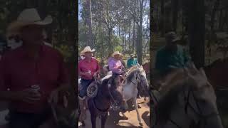 Cabalgata en Yecora Sonora 🤠🎶 [upl. by Lathrope348]