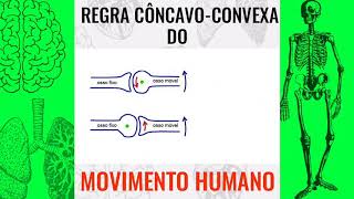 RESUMO REGRA CÔNCAVOCONVEXA  Hugo Oliveira [upl. by Willis]