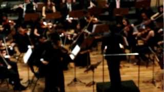 Max Bruch Romance para Viola e Orquestra [upl. by Lempres]