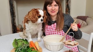 Homemade Dog Food Recipes  The Secret You Dont Know [upl. by Anekam]