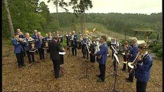 Haslemere Town Band [upl. by Caia]