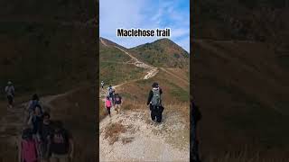 Maclehose trail hikehongkong maclehosetrail shorts [upl. by Eneroc]