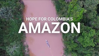 Colombias Amazon  A story of hope [upl. by Prober]