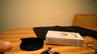 Bang amp Olufsen BampO Earset 3i Stereo EarphoneEarbuds review by Dale [upl. by Bernardine]