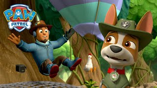 Pups save Chickaletta from Crocodiles and more  PAW Patrol Episode  Cartoons for Kids Compilation [upl. by Ylaek]