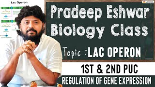 The Lac Operon  Regulation Of Gene Expression  Pradeep Eshwar Biology Class  2nd PUC [upl. by Aryas]