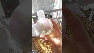 Fena bir güzelliği var new today chole muadil 👌parfum [upl. by Ahsatsan]