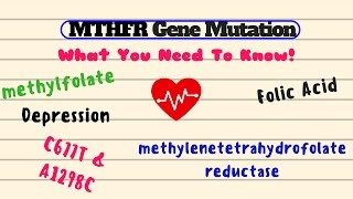 MTHFR Gene Mutation What You Need to Know [upl. by Roter13]