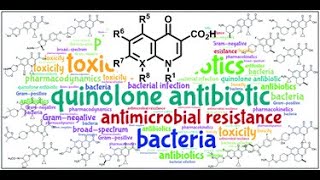 Chemotherapy part 7  Anti Mycobacteria  Quinolones  Medicinal Chemistry  T  PDF 👇 [upl. by Myrtle]