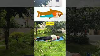 Animal Yoga Poses  Yoga Poses for Strength amp Balance  Trimuk yoga [upl. by Lered]