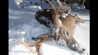 Big Woods Hunting MA Buck Snow Tracking [upl. by Barber615]