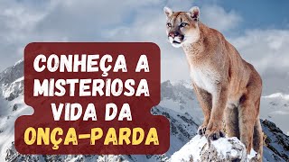 ONÇA PARDA  UM FELINO IMPONENTE ÁGIL E FASCINANTE  A Puma das Américas [upl. by Anividul755]