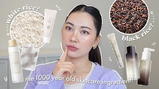 Benefits of Rice in Skincare 🌾✨ KBeauty amp JBeauty recommendations [upl. by Mott845]