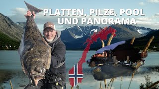 Heilbutt Angeln in Norwegen🎣 Platten Schlag auf Schlag👍 TopRevier zum Meeresangeln in Nordnorwegen😍 [upl. by Lindi10]