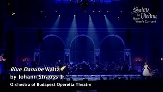 Blue Danube Waltz Johann Strauss II  Salute to Vienna amp Budapest [upl. by Dasie]