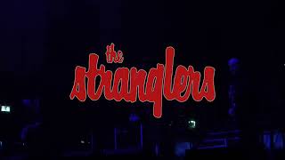 The Stranglers live in Aberdeen 2022 [upl. by Mercy290]