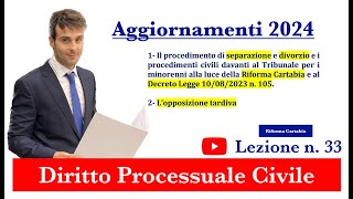 Procedura civile lezione n33 Aggiornamenti 2024 [upl. by Algar]