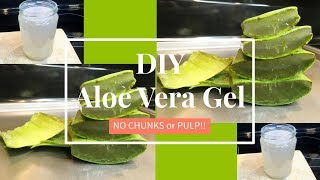 Homemade Aloe Vera Gel NO CHUNKS  DIY  TheLifestyleLuxe [upl. by Oilime]