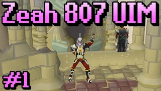 Zeah 807 UIM 1 [upl. by Eesac830]