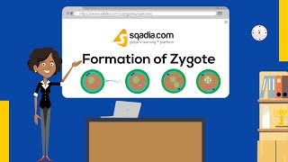 Fertilization terminology gametes zygotes haploid diploid  MCAT  Khan Academy [upl. by Atirys]