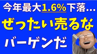 ぜったい売るな、バーゲンだ【SampP500 NASDAQ100】 [upl. by Eidob]