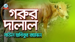 Gorur Dalal  গরুর দালাল  Baul Habibur Rahman  Baul Gaan  Sangeeta [upl. by Nosrettap]