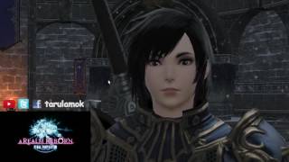 FFXIV Our Answer  Dark Knight Job Quest level 50 [upl. by Ecnahs]