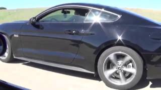 2004 terminator Cobra VS 2015 mustang GT [upl. by Odnuges145]