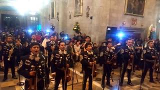 Mariachi Águilas de México de Tlaxcala – Festividad Patronal de San Pedro Cuajimalpa 2018 [upl. by Accissej]