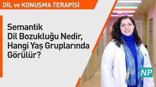 Semantik Dil Bozukluğu Nedir Hangi Yaş Gruplarında Görülür [upl. by Reivazx]