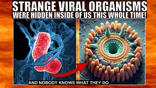 Never Before Seen Viral Organisms Found Inside Our Bodies  quotObelisksquot [upl. by Drahsir]