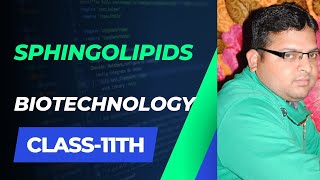 SphingolipidsSphingolipids in HindiSphingolipid Functions [upl. by Letreece]