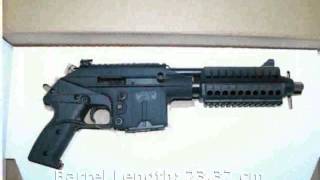 KelTec PLR16 223 Remington Pistol [upl. by Zaraf846]