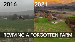 5 Years of Building a Farm TIMELAPSE [upl. by Mellie607]