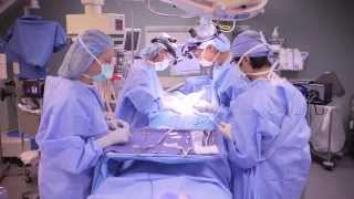 Parathyroid Surgery  UCLA Endocrine Surgery [upl. by Atinrehs]