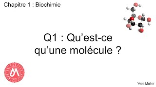 Chapitre 1  Biochimie  Q1  Questce quune molécule [upl. by Ettevad408]