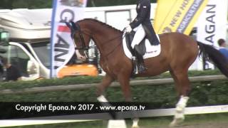 Falsterbo Horse Show warm up arena  Friday 14 July 2017  part 5 [upl. by Eihpos866]