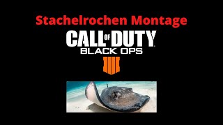 Der Stachelrochen sticht zu BO4 Montage [upl. by Tharp]