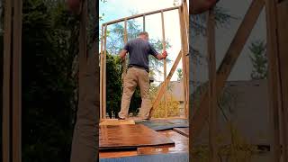 Framing shed walls construction shed diy shedroof building shedwork shedlife garden [upl. by Eicam947]