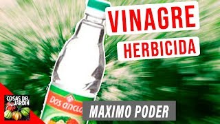 VINAGRE DE MANZANA EL REMEDIO NATURAL PARA BAJAR EL AZÚCAR PERDER PESO Y MEJORAR LA DIGESTIÓN [upl. by Niriam433]