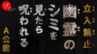 【閲覧注意】立入禁止！A公園に潜む廃屋に染み付いた怨念の姿を撮らえろ！決死の大突撃スペシャル [upl. by Ecreip212]