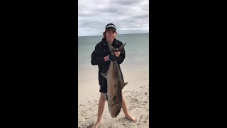 Busselton Beach Fishing [upl. by Lahsram]