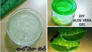 How To Make Aloe Vera Gel At Home In Telugu With Eng Sub  Homemade Aloe Vera Gel For Hair And Skin [upl. by Arlynne]