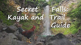 Secret Falls Kauai Kayak and Trail Guide [upl. by Dori]