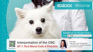 IDEXX Webinar Interpretation of CBC EP1 Red Blood Cells amp Platelets [upl. by Renat927]