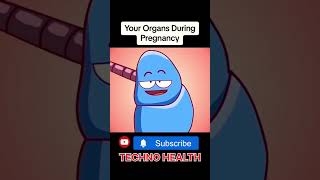 During Pregnancy Your Organs trending viral health funny medical [upl. by Truda]