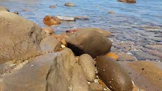 Water beach kilcunda australia video [upl. by Madelle]