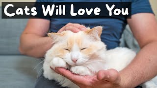 How to Give Your Cat a Relaxing Massage  The Cat Butler [upl. by Nilesoy703]