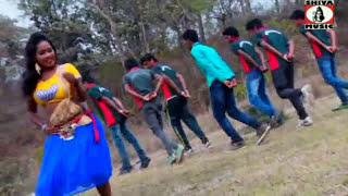 Purulia Song 2022  Jhule Jhule Ache  Biswanath amp Anita Das  Superhit  Manbhum Bangla Song [upl. by Yzzik]