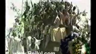 ERITREANvid Subtitled Eritrean LiberationIndependence quotSenay Zebenquot YismeAni Alo [upl. by Samuele73]